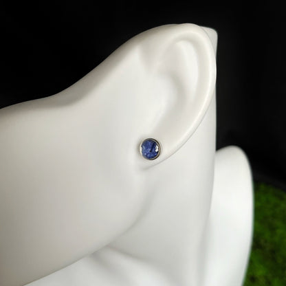 Cornflower stud earrings