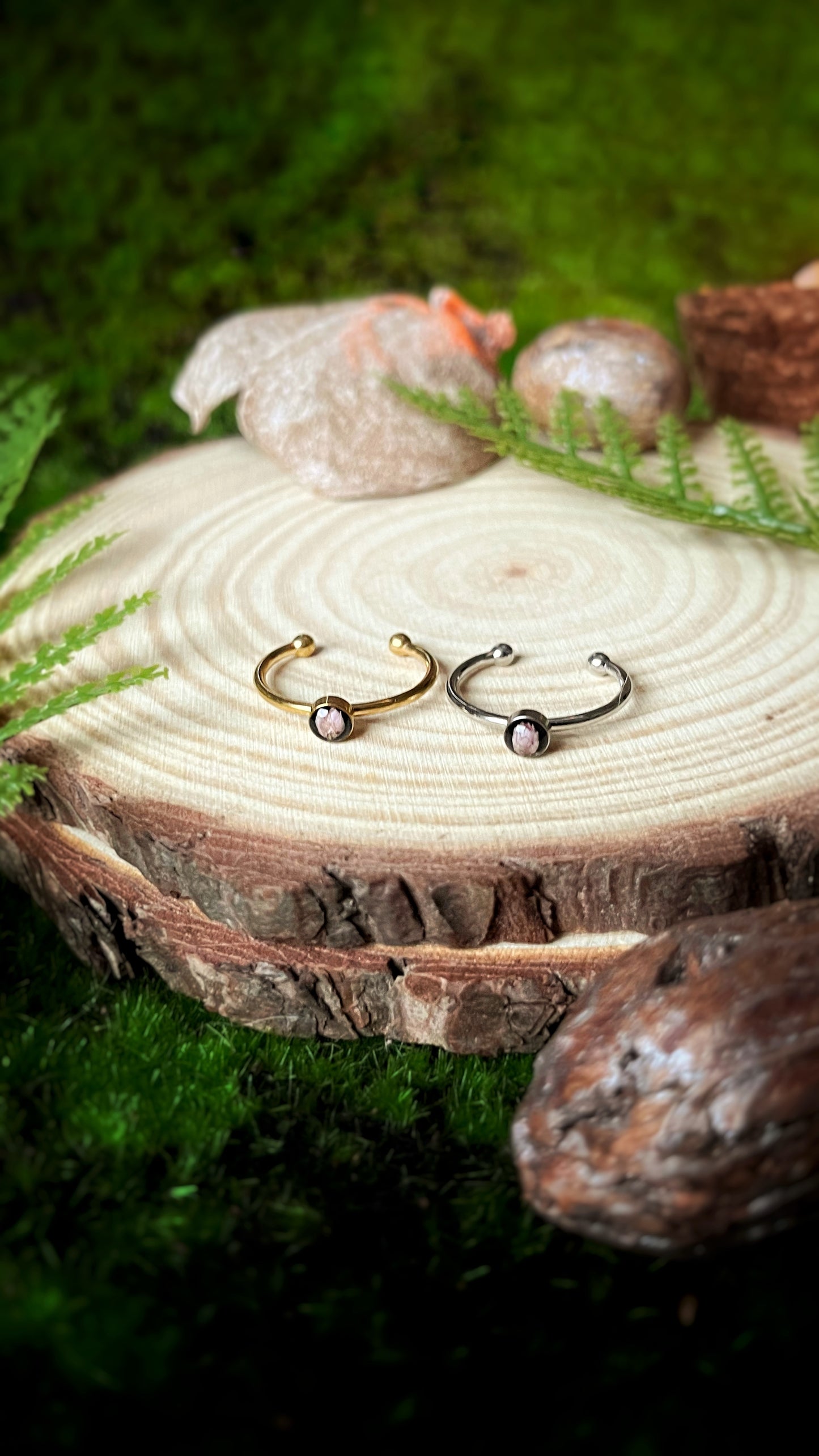 Ozothamnus ring