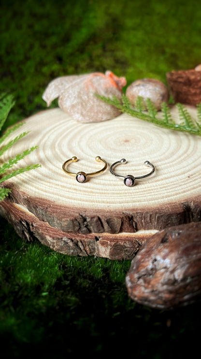 Ozothamnus ring