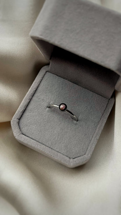 Ozothamnus ring
