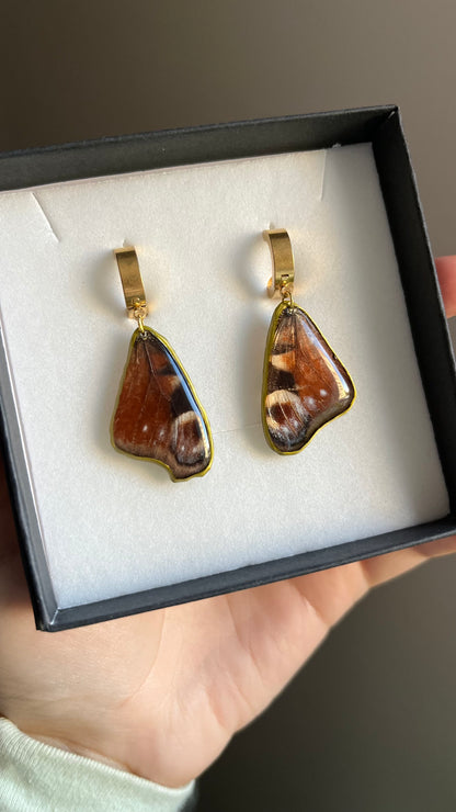 Butterfly earrings