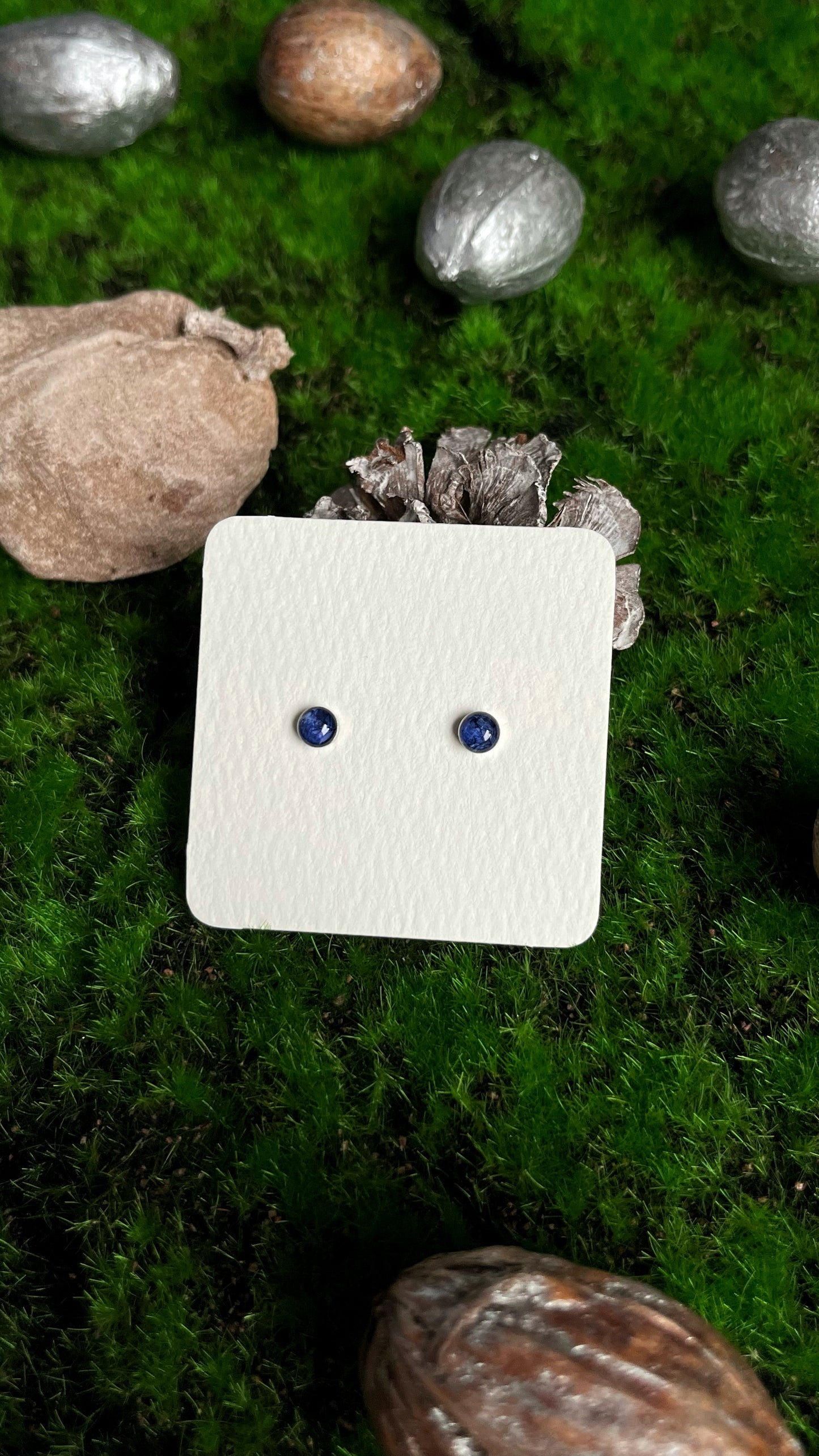 Cornflower stud earrings