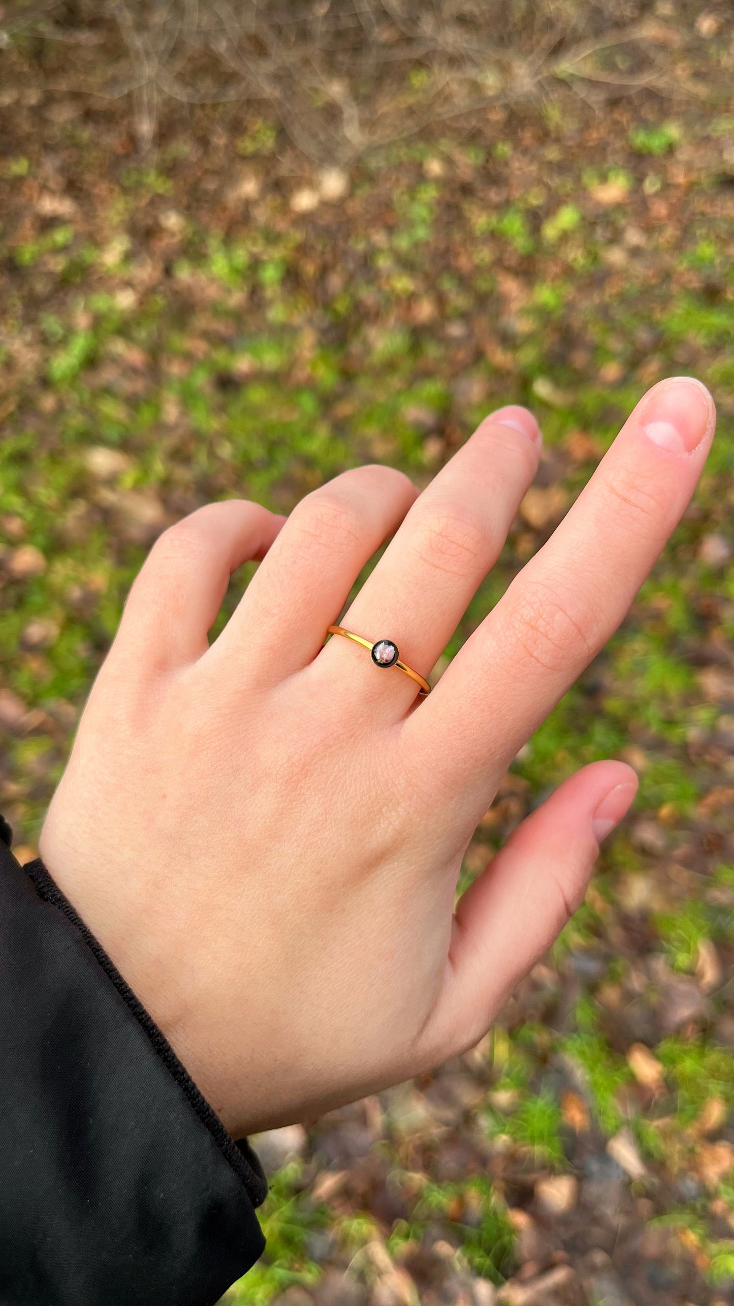 Ozothamnus ring