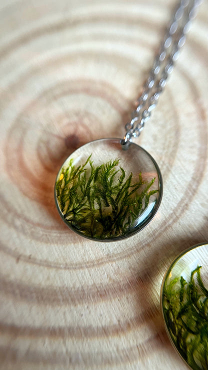 Moss pendant