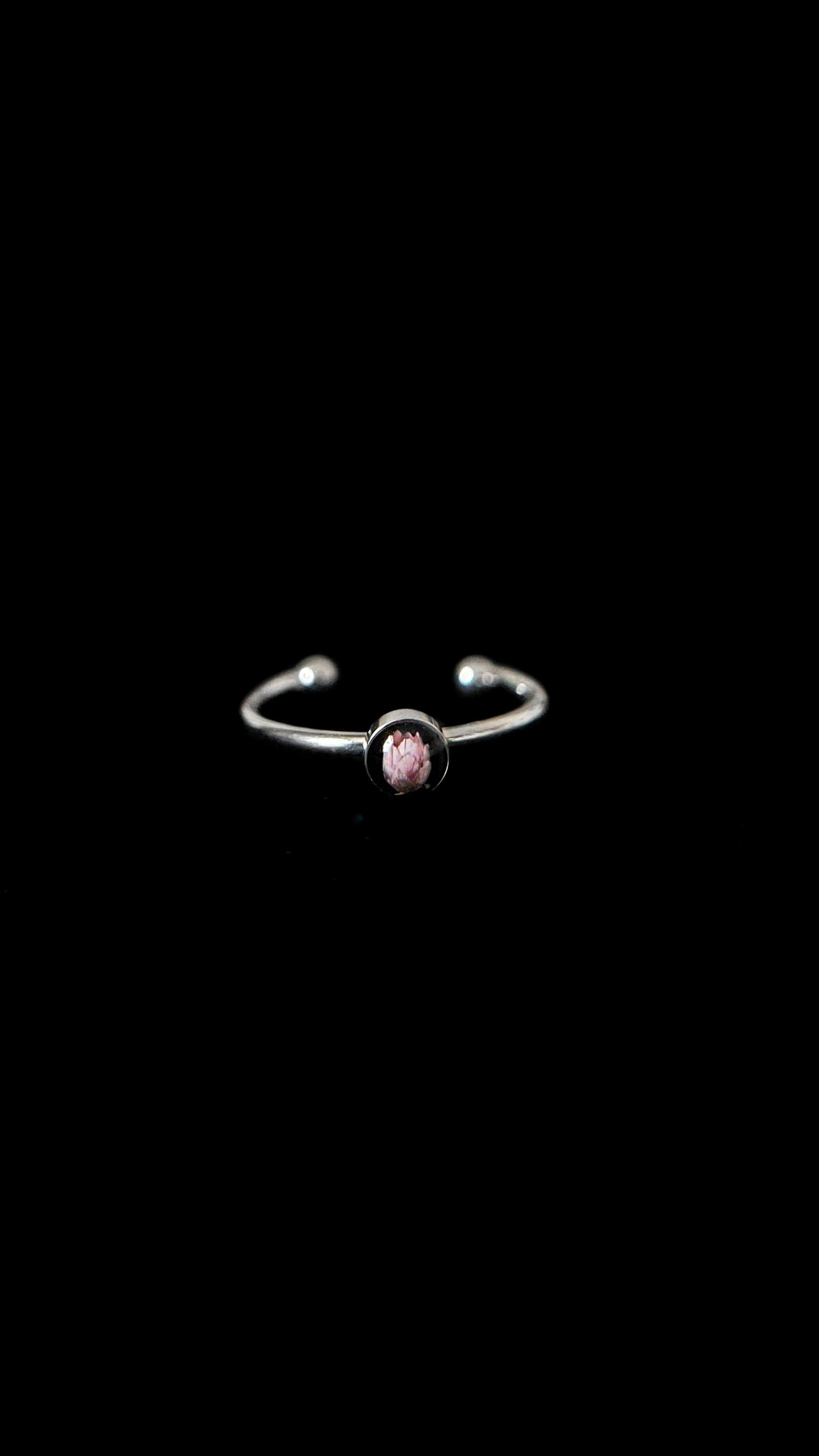 Ozothamnus ring