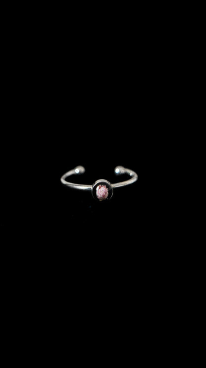 Ozothamnus ring