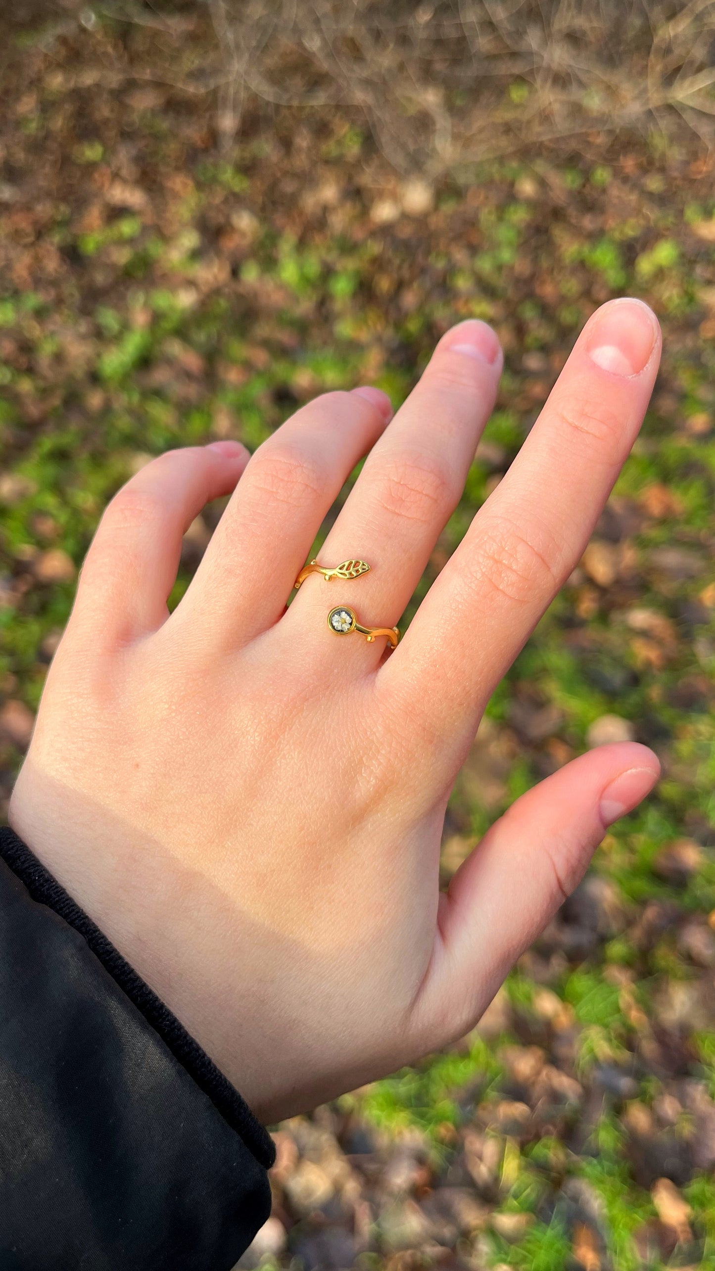 Ground elder ring