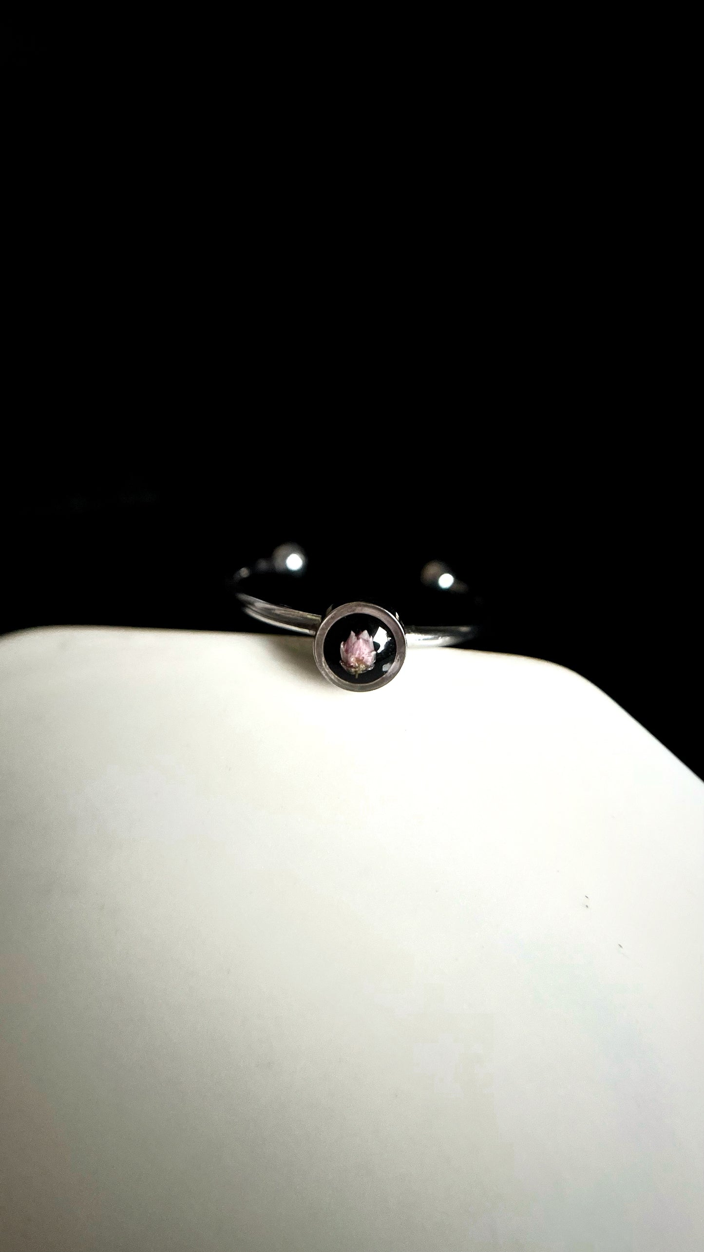 Ozothamnus ring