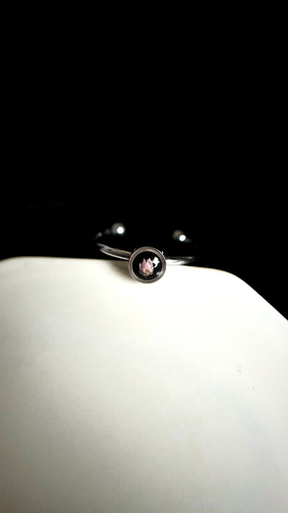 Ozothamnus ring