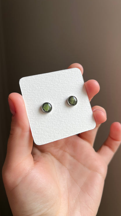 Ivy stud earrings