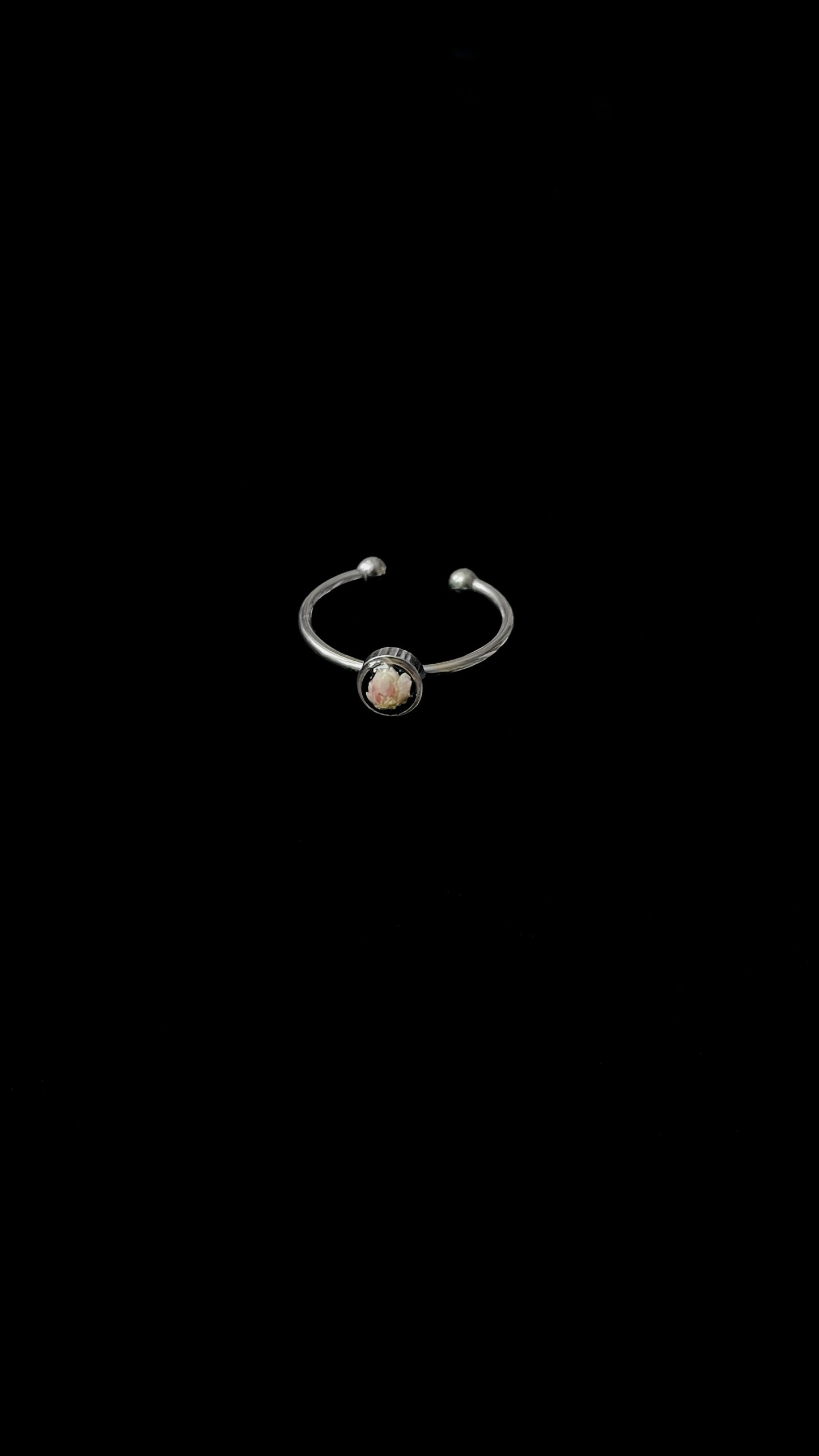 Ozothamnus ring
