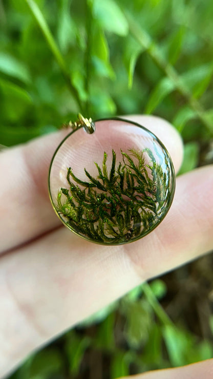 Moss pendant