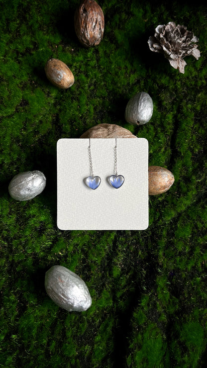 Cornflower earrings