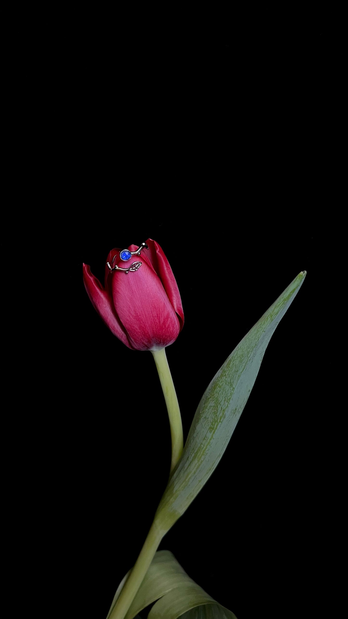 Cornflower ring