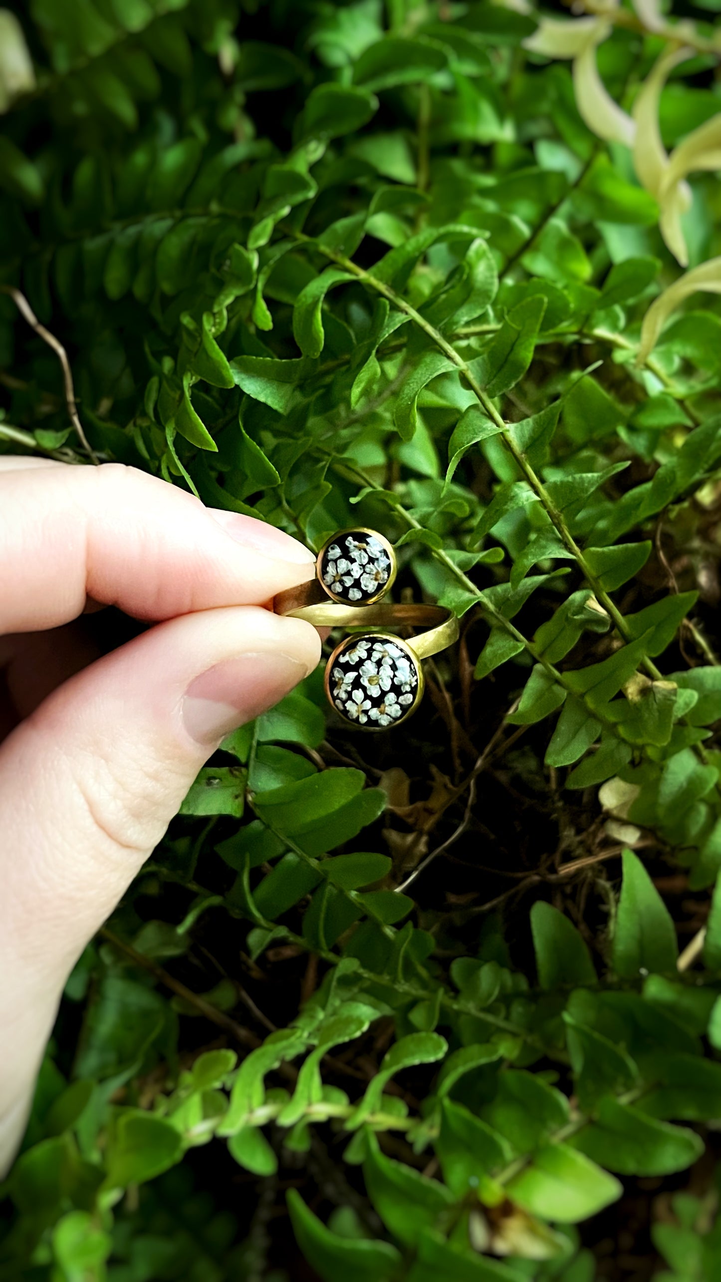 Ground elder ring