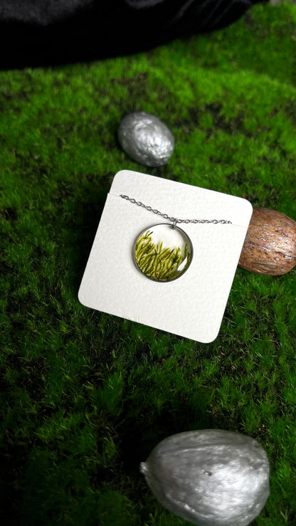 Moss pendant