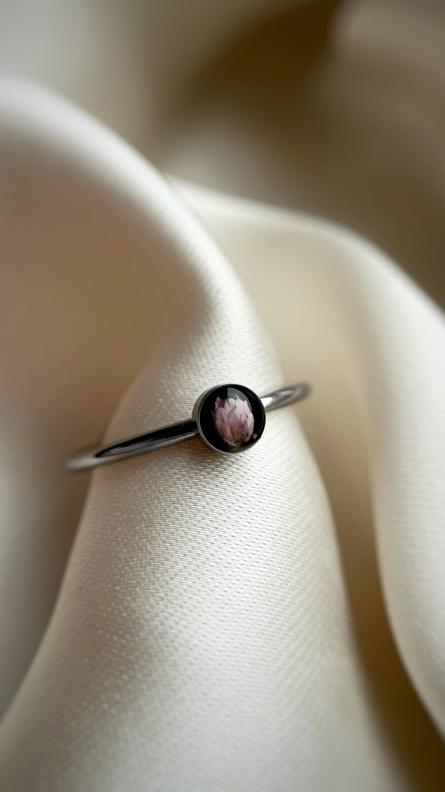 Ozothamnus ring
