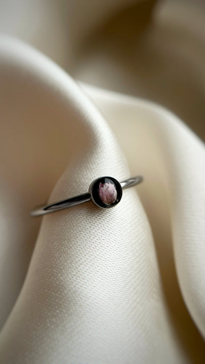 Ozothamnus ring