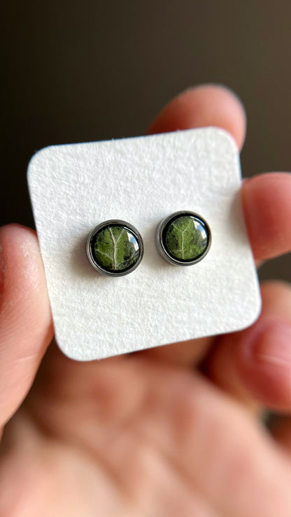 Ivy stud earrings