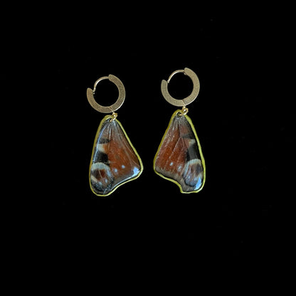 Butterfly earrings