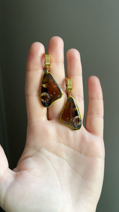 Butterfly earrings