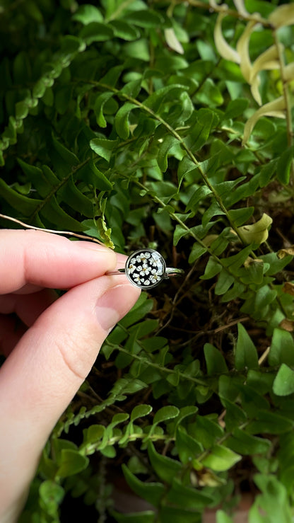 Ground elder ring