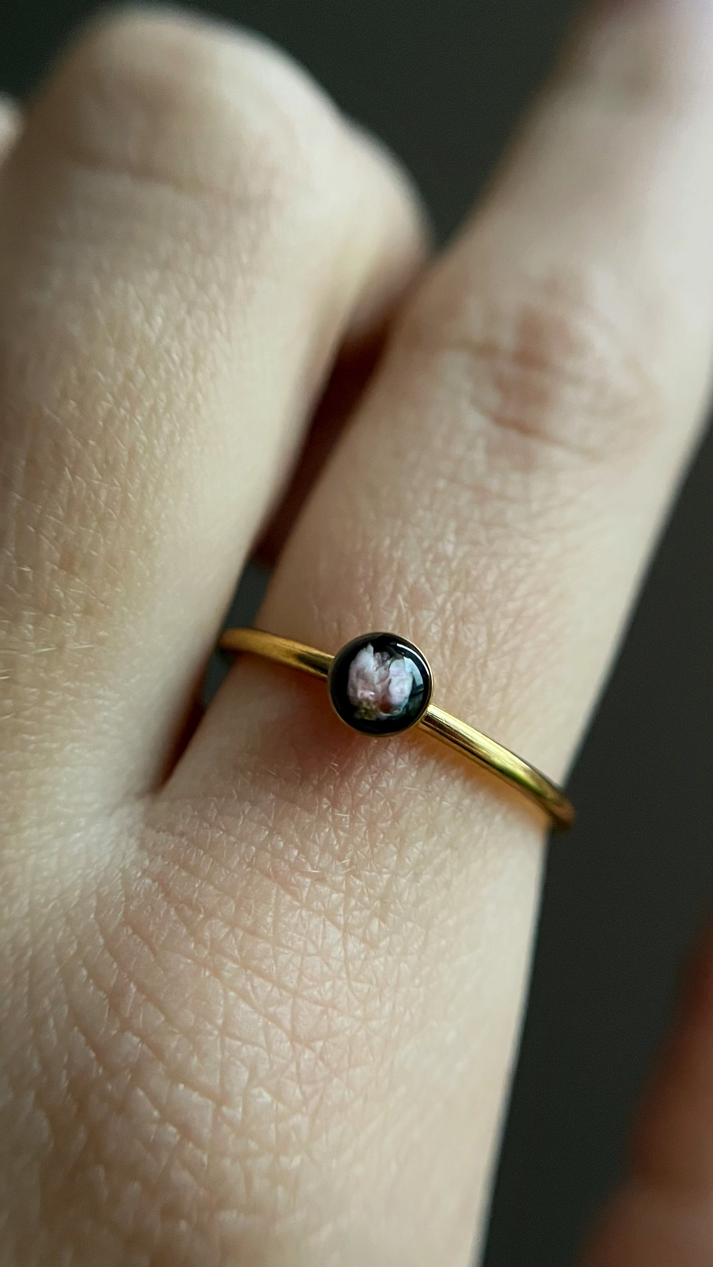 Ozothamnus ring
