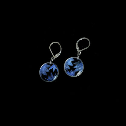 Cornflower earrings