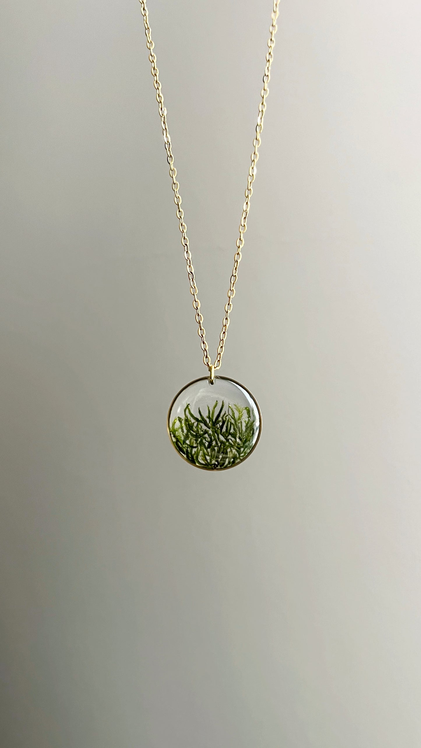 Moss pendant