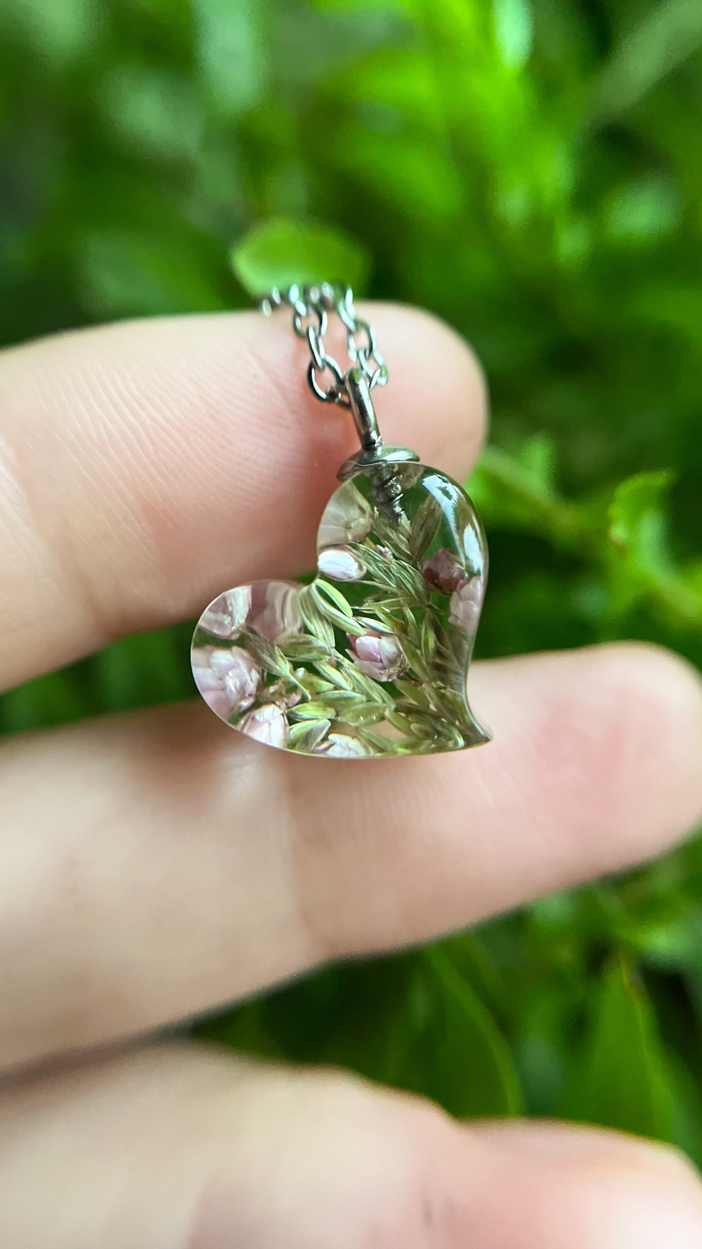 Ozothamnus pendant